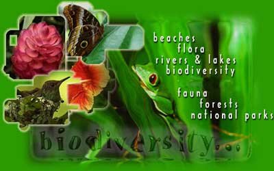 Bio Diversity